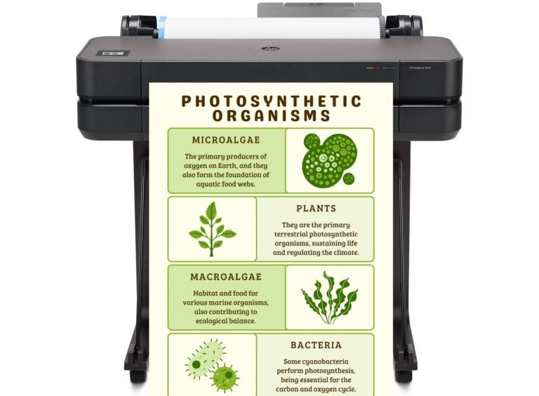 Poster maker into your school transforms learning spaces into creative studios where imagination meets technology.