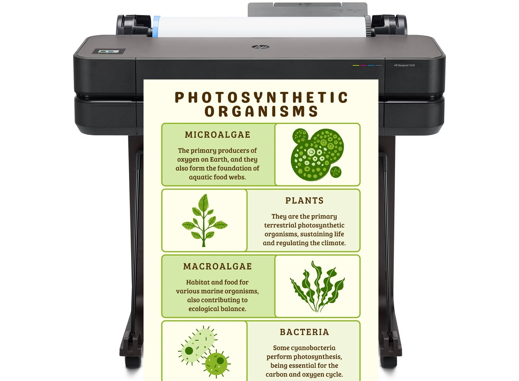 Poster maker into your school transforms learning spaces into creative studios where imagination meets technology.