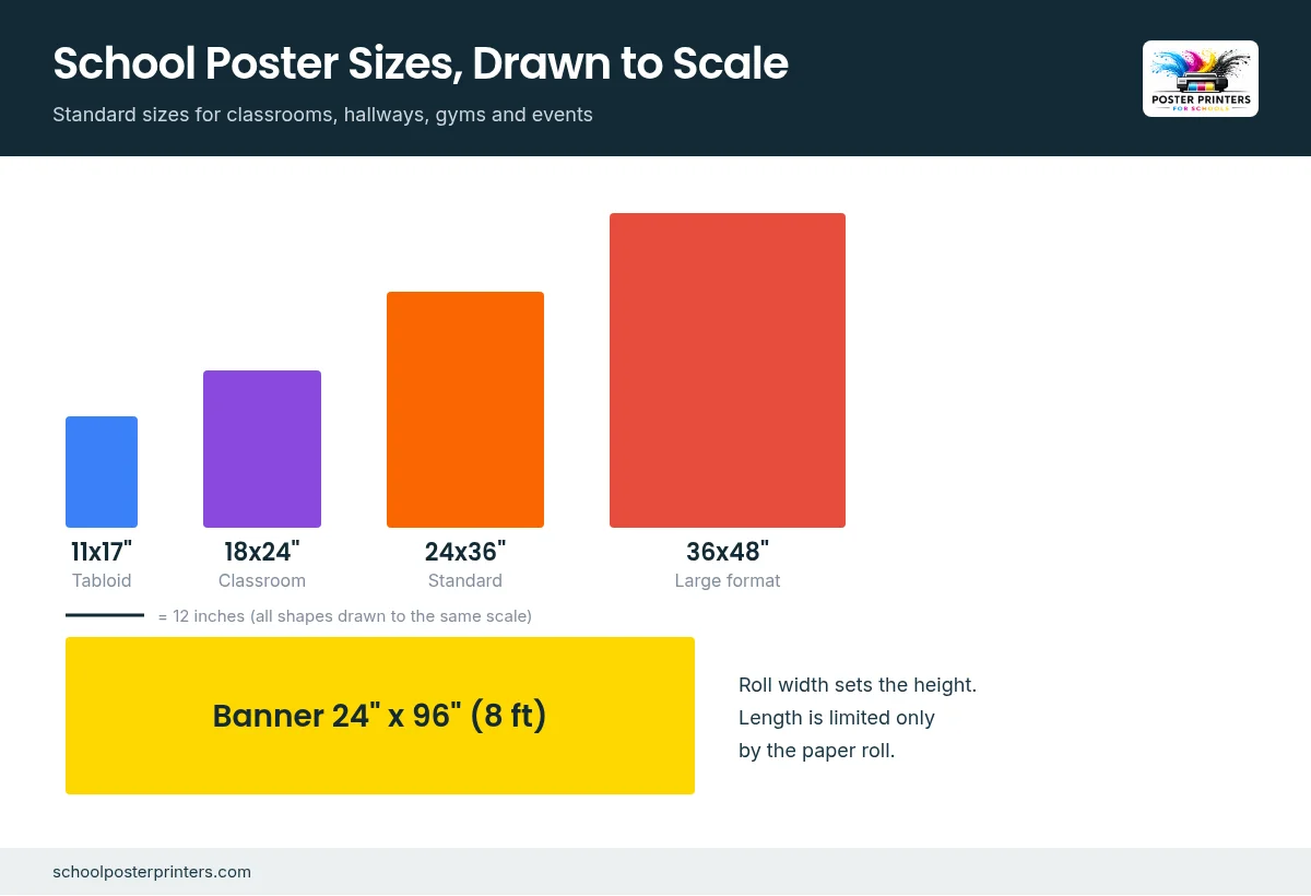School poster sizes drawn to scale: 11x17, 18x24, 24x36, 36x48 and a 24x96 banner